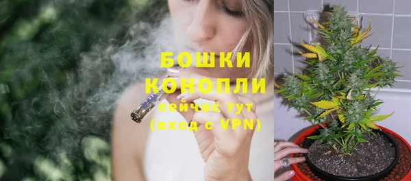 СК Богородск